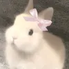 xzv0wony0
