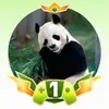chinpanda78