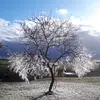 magicmarc011
