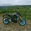 dhavemagaro435