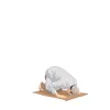 sro_199.8__4