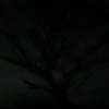 slipe03