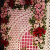 ayeshaarif6513
