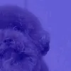 _rebzix_