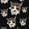 jezz_054