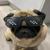pug4241