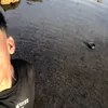 skwishskwish3