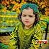 pashtoon.zai
