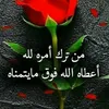 user93076301588