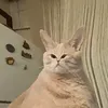f1nnl0ver_f1nna