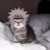 crazy_sai5