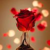 user2615213823395jawad