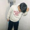 ar_stecu199