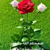 ahamd.ali322
