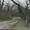 shadowletsky8