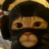 jusnine.habisjd0