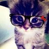 phaawwjayyyieee