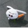 xxty5545