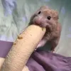 eatmyduck8