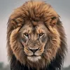 uk_life83