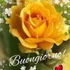 rita.coco67