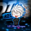 ice._shadow