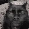 catfan675