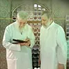 احـمـد|الـسـيسـتـانـي😼☝🏻