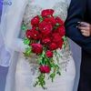 nahid.mohammed5