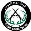 قائد الأسطول