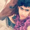 user82482227772193