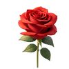 sabrin.lina5