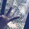 alika04246
