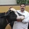 malikshahzad6755