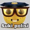 dapa_booll