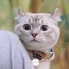 mochie_2888