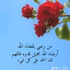 user5074110926134