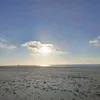 sa_shaa07