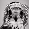 x_t4jl