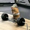 svarshik99