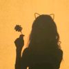 ashdrees56789