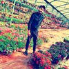 81295389farsff