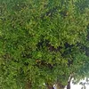 fati.fati9248