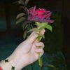 silenttears494