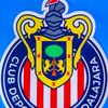 el.axel61