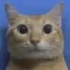 sssdfg6767