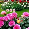 user28030171053150