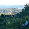 joaquin.rodrguez506