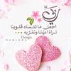 user1732768610610