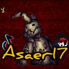 asaer17o